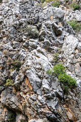 Antalya Goynuk Canyon