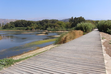 A view of Agia Lake, about to dry, at the end of july in Crete Island, Greece.