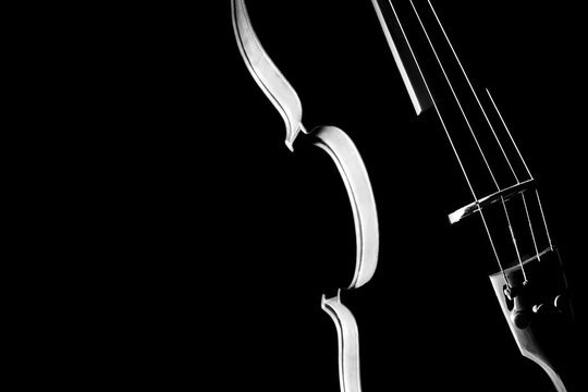 Violin silhouette with strings