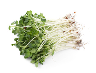 kaiware sprout, japanese vegetable or watercress on white background