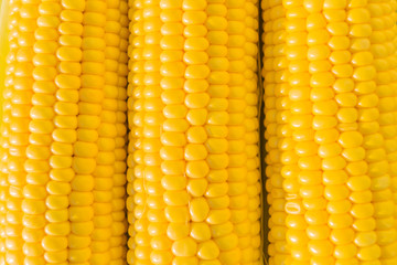Three fresh corn as a background, texture