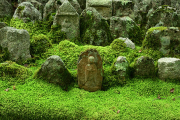 stone Buddhas and moss garden, Kyoto Japan