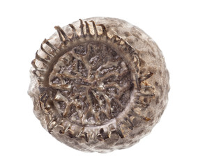 Egg of stick insects - Orxines xiphias