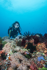 Obraz premium woman scuba diving on a tropical reef