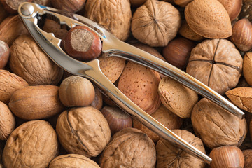 Nuts of different kinds