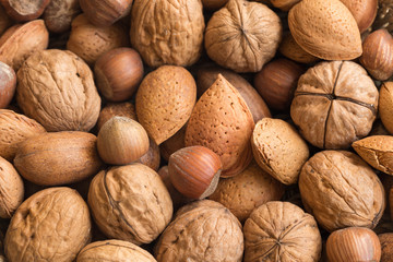 Nuts of different kinds
