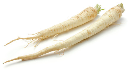 Two whole parsley root isolated on white background.