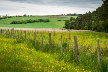 Farm Fence