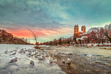 Winter an der Isar, Vögel sitzen am Fluss auf dem Schnee in München - obrazy, fototapety, plakaty