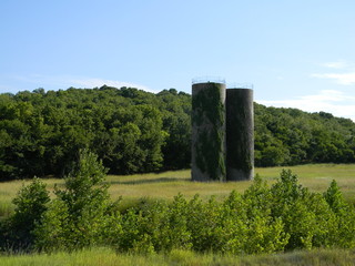 silos with green ivy