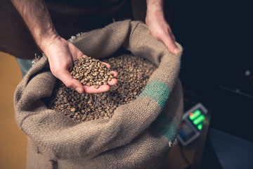 Close up man arm holding coffee beans. He situating near big bag filling it in factory. Prepare...