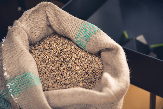 Top view close up open huge sack full of unroasted green grains for preparing hot beverage. Industry concept