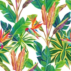 Keuken foto achterwand Tropische bloemen Tropische jungle paradijsvogels en bladeren naadloos