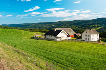 Fototapeta na wymiar Norway country houses. Meadows and mountains.