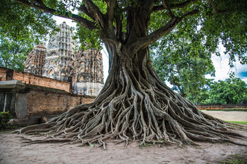 Sukhothai historical park in Thailand - Powered by Adobe