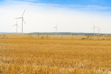Windmill electric energy plant