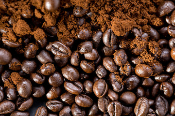 coffee seeds from the top
