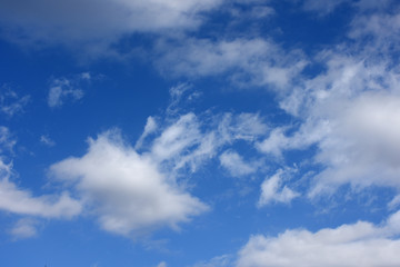 青空と雲「空想・雲のモンスターたち」（千切れた、バラバラにになる、ふわふわしたなどイメージ）