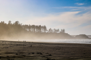 A Walk On The Beach