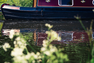 Moored canal boat in a river in Scotland, United Kingdom with some flowers in the foreground