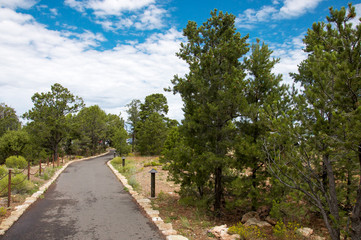 Hiking trail in Grand Canyon National Park