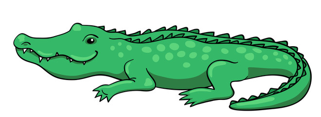 Crocodile