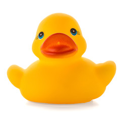 Yellow rubber duck