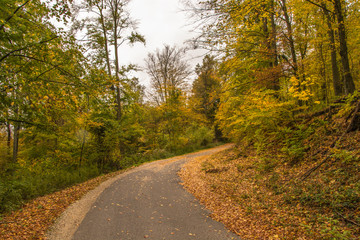 Naklejka premium Bakonyi ősz