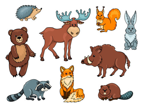 Forest animals set