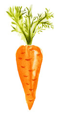 Carrot