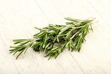 Rosemary branches