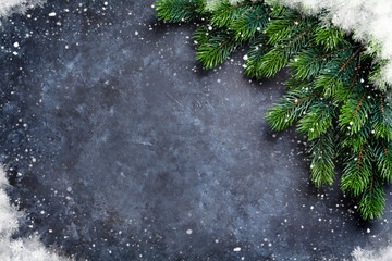 Christmas fir tree and snow