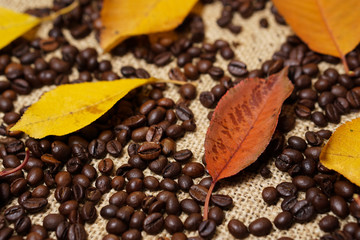 Leaf on coffee beans