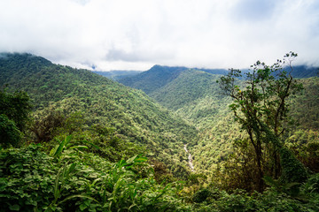 The road from San Jose to Guapiles is leading through the Braulio Carrillo National Park, which has very high mountains and deep valleys. The road was breathtaking for the car and so are the views.