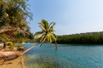 Plakat Tropical landscape of Koh Kood