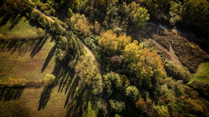 Vista Aerea di un bosco in autunno