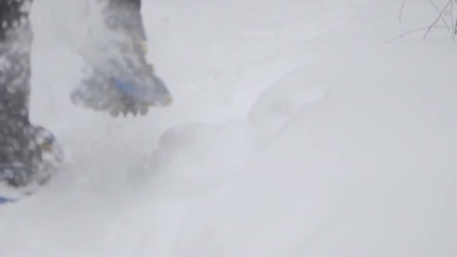 A low shot of snowshoers walking away frow the camera ending high