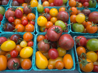 Mini Tomatoes