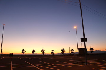 ヤシの木と夕陽