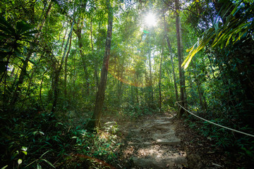 Tropical landscape of Koh Kood