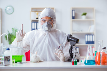 Scientist doing animal experiment in lab with rabbit