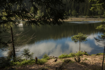 Beautiful landscape scene at the small Arbersee in Bavaria