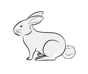 Cute Bunny Vector Illustration