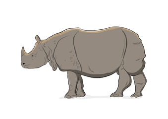Rhinoceros Vector Illustration