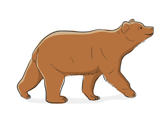 Obraz na płótnie Canvas Brown Wild Bear Vector Illustration