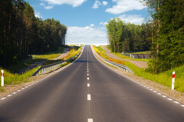Straight road through the forest