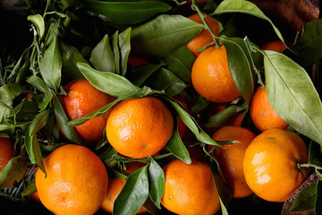 Tangerines 
