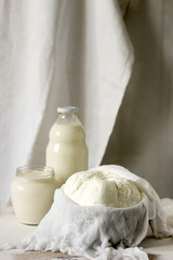 Homemade dairy products: cottage cheese, sour cream and milk on a white background. Style rustic.