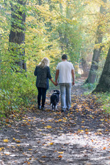 Obraz premium Rear view of a couple of two young people walking through an autumn park with a dog.