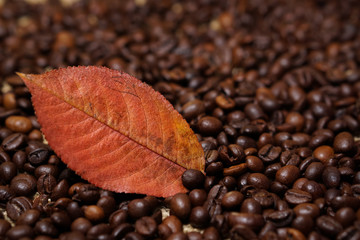 Leaf on coffee beans